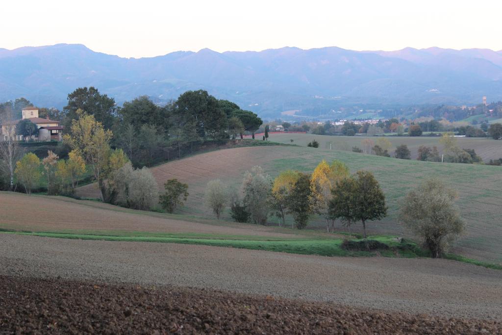Intorno Firenze B&B San Piero a Sieve Exteriör bild